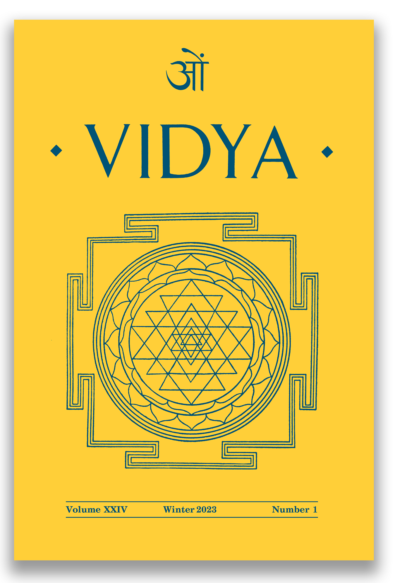 Vidya Cover